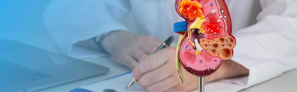Nephrology Medical Billing Illinois